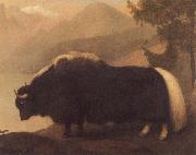 George Stubbs Yak oil painting reproduction
